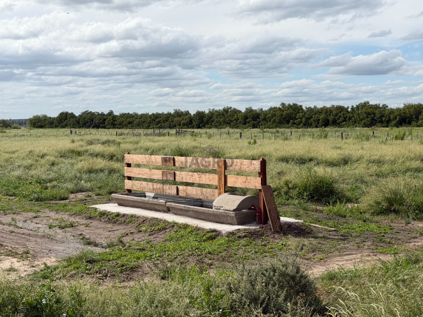 Campo  en Venta en Ruta 3,  Villarino - Bahía Blanca Propiedades | SITIO OFICIAL l