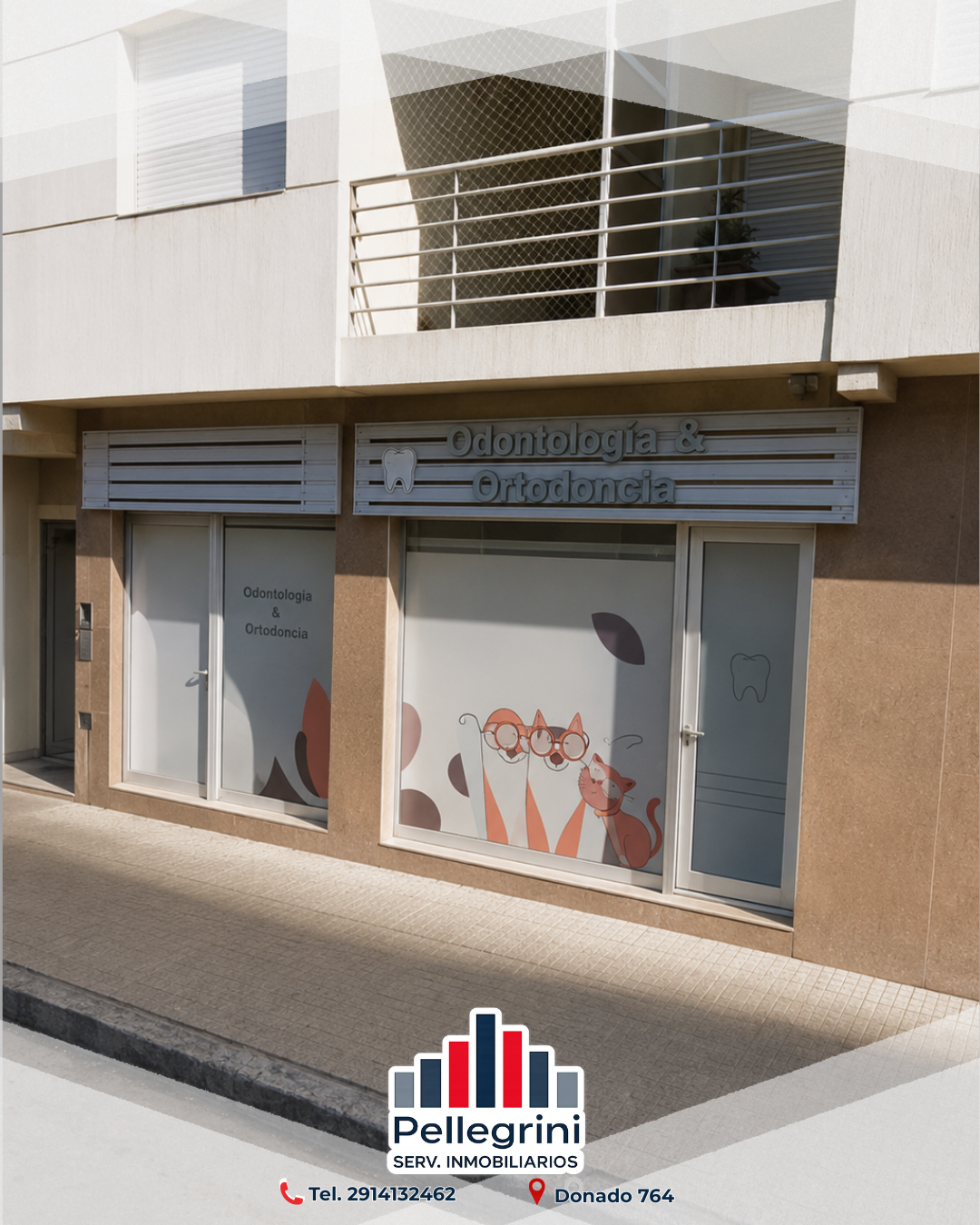 Local en Alquiler en Brown 435 Planta Baja, Centro, Bahía Blanca - Bahía Blanca Propiedades | SITIO OFICIAL l