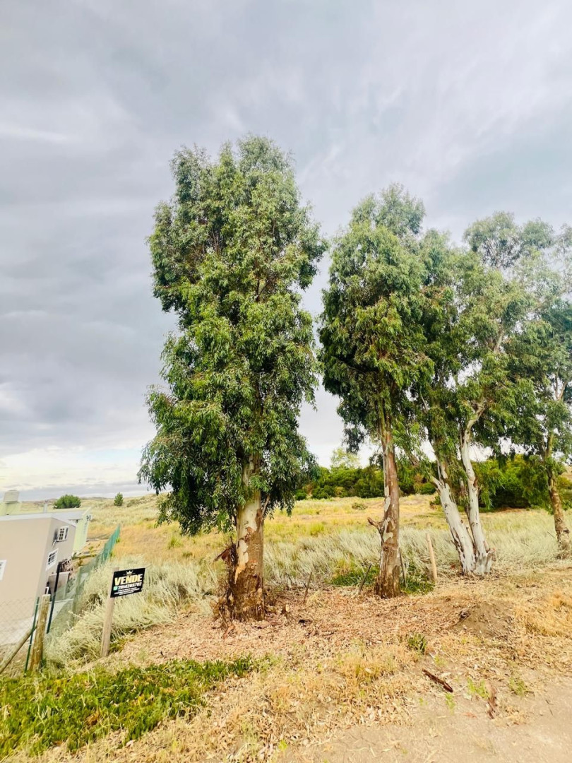 Terreno en Venta en Santa Clara, El Sauce, Monte Hermoso - Bahía Blanca Propiedades | SITIO OFICIAL l