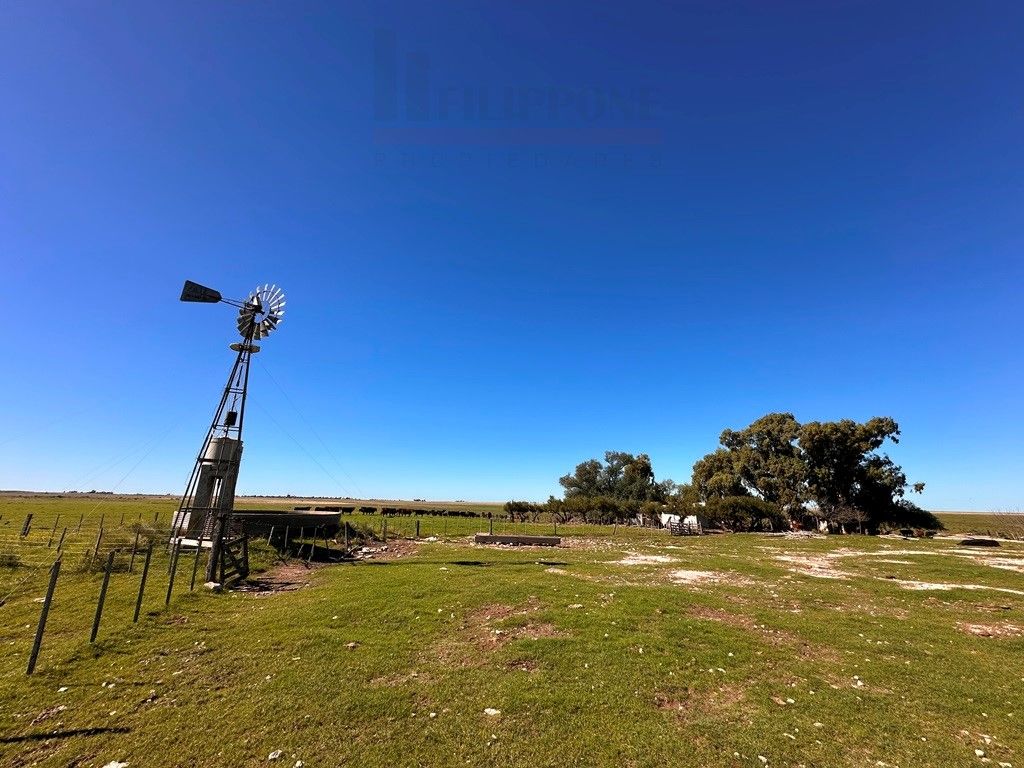 Campo  en Venta en Ruta 35 - Bahía Blanca Propiedades | SITIO OFICIAL l