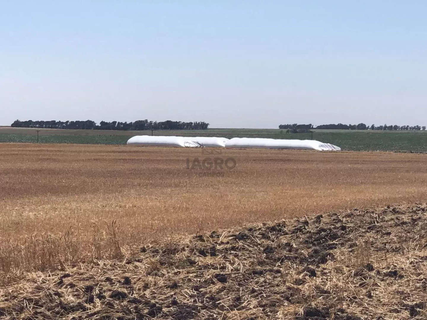 Campo  en Venta en Coronel Pringles,  Coronel Pringles - Bahía Blanca Propiedades | SITIO OFICIAL l