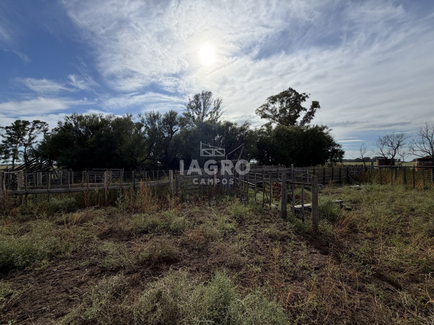 Campo  en Venta en Mayor Buratovich,  Mayor Buratovich - Bahía Blanca Propiedades | SITIO OFICIAL l
