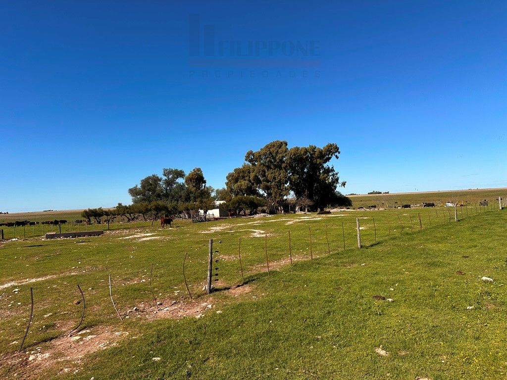 Campo  en Venta en Ruta 35 - Bahía Blanca Propiedades | SITIO OFICIAL l