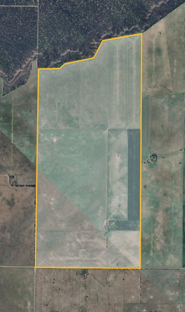 Campo  en Venta en Ruta 22, Algarrobo, Villarino ,  Algarrobo - Bahía Blanca Propiedades | SITIO OFICIAL l
