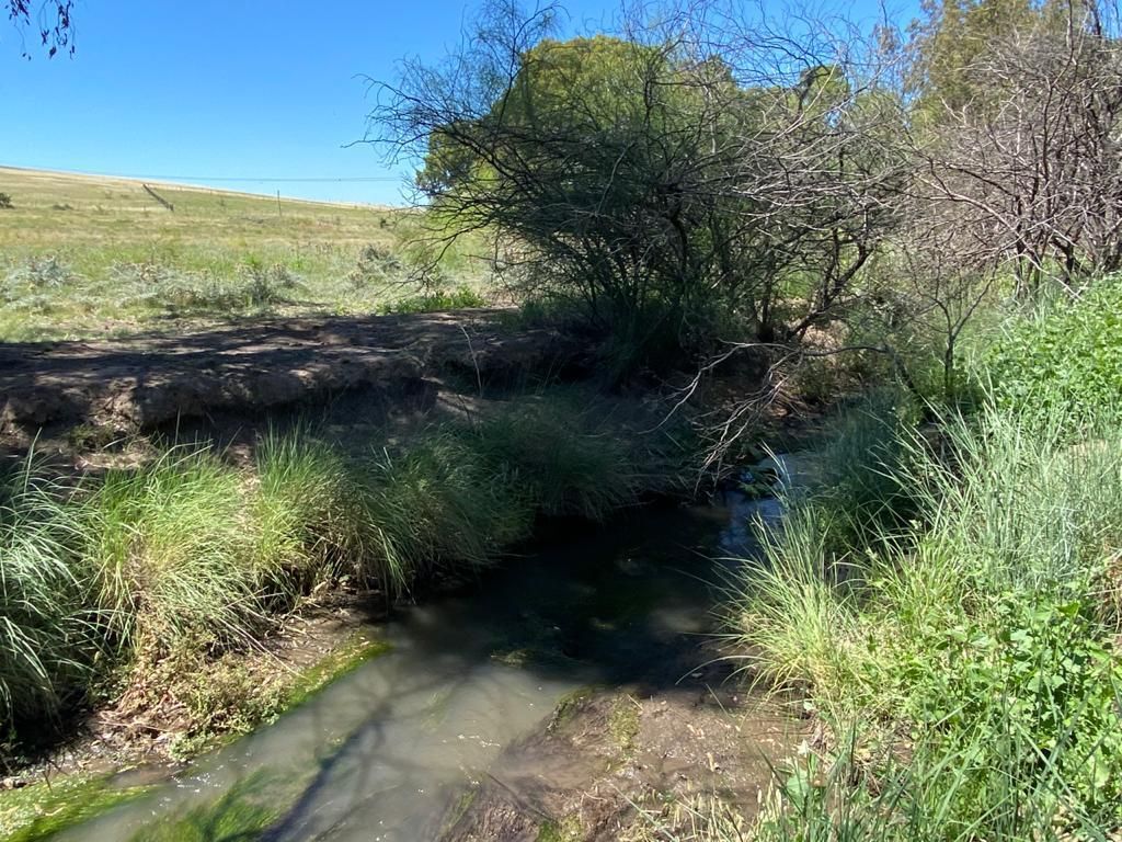 Galpón en Venta en Ruta 3,  Bahía Blanca - Bahía Blanca Propiedades | SITIO OFICIAL l