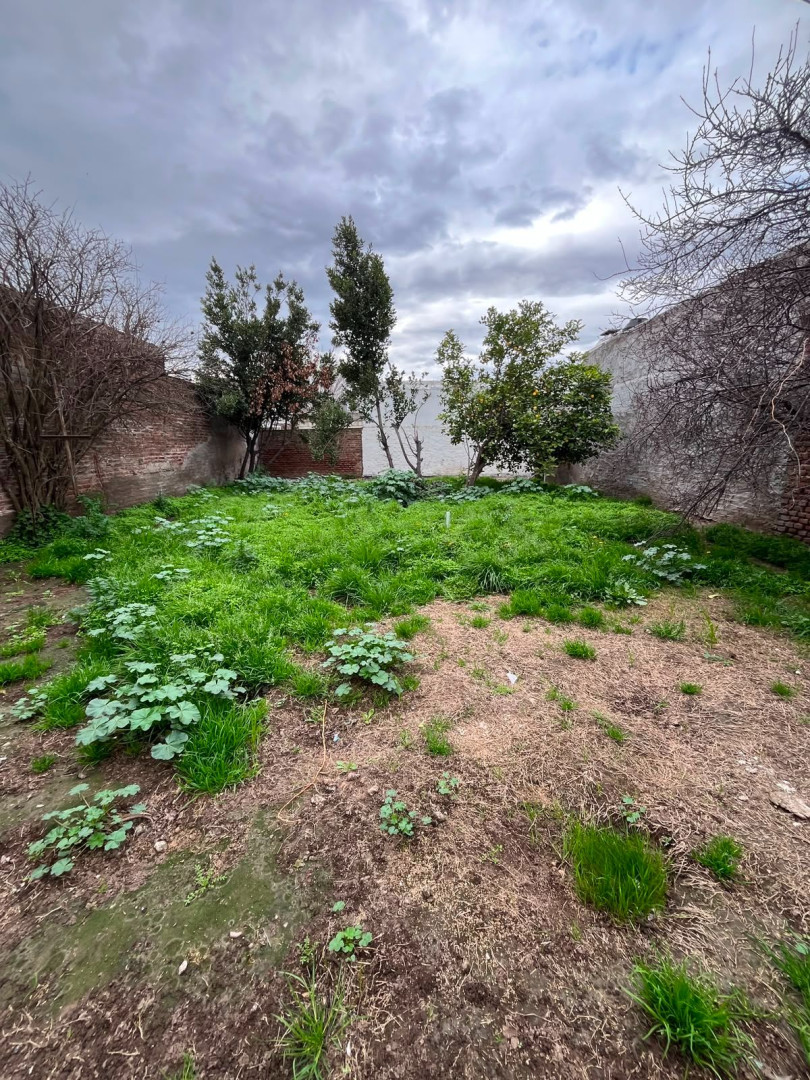 Casa en Alquiler en Daniel De Solier 2532, Ingeniero White, Bahía Blanca - Bahía Blanca Propiedades | SITIO OFICIAL l