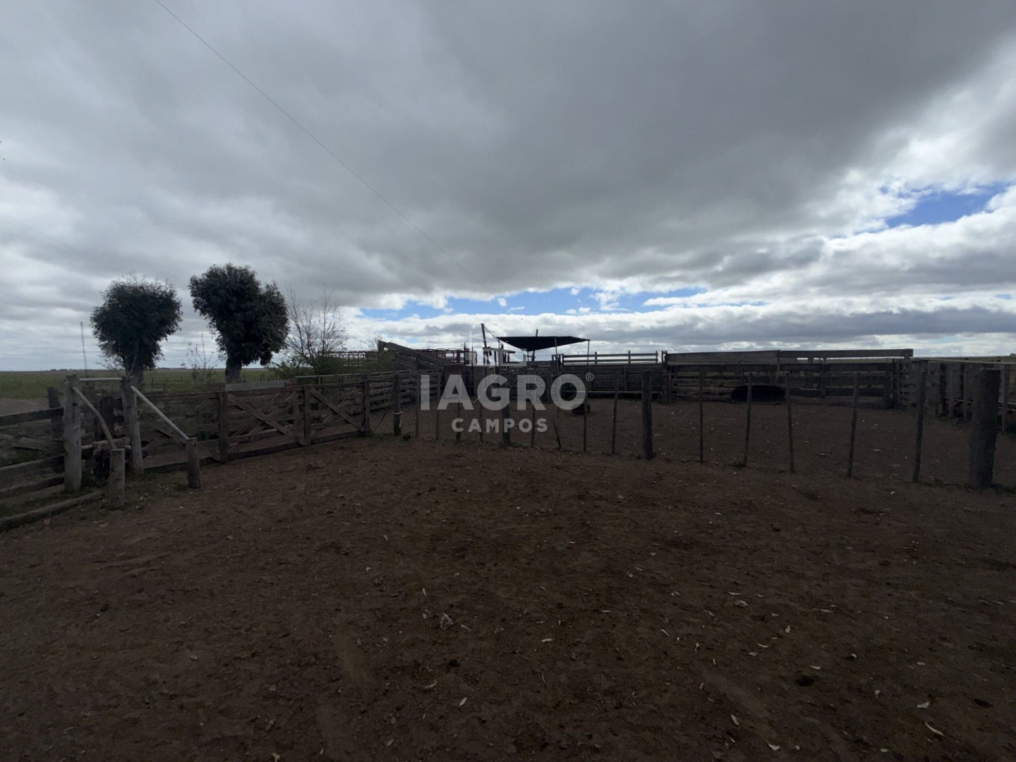 Campo  en Venta en Stroeder,  Stroeder - Bahía Blanca Propiedades | SITIO OFICIAL l
