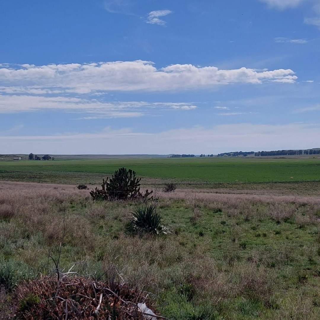 Campo  en Venta en Ruta 35,  Tornquist - Bahía Blanca Propiedades | SITIO OFICIAL l