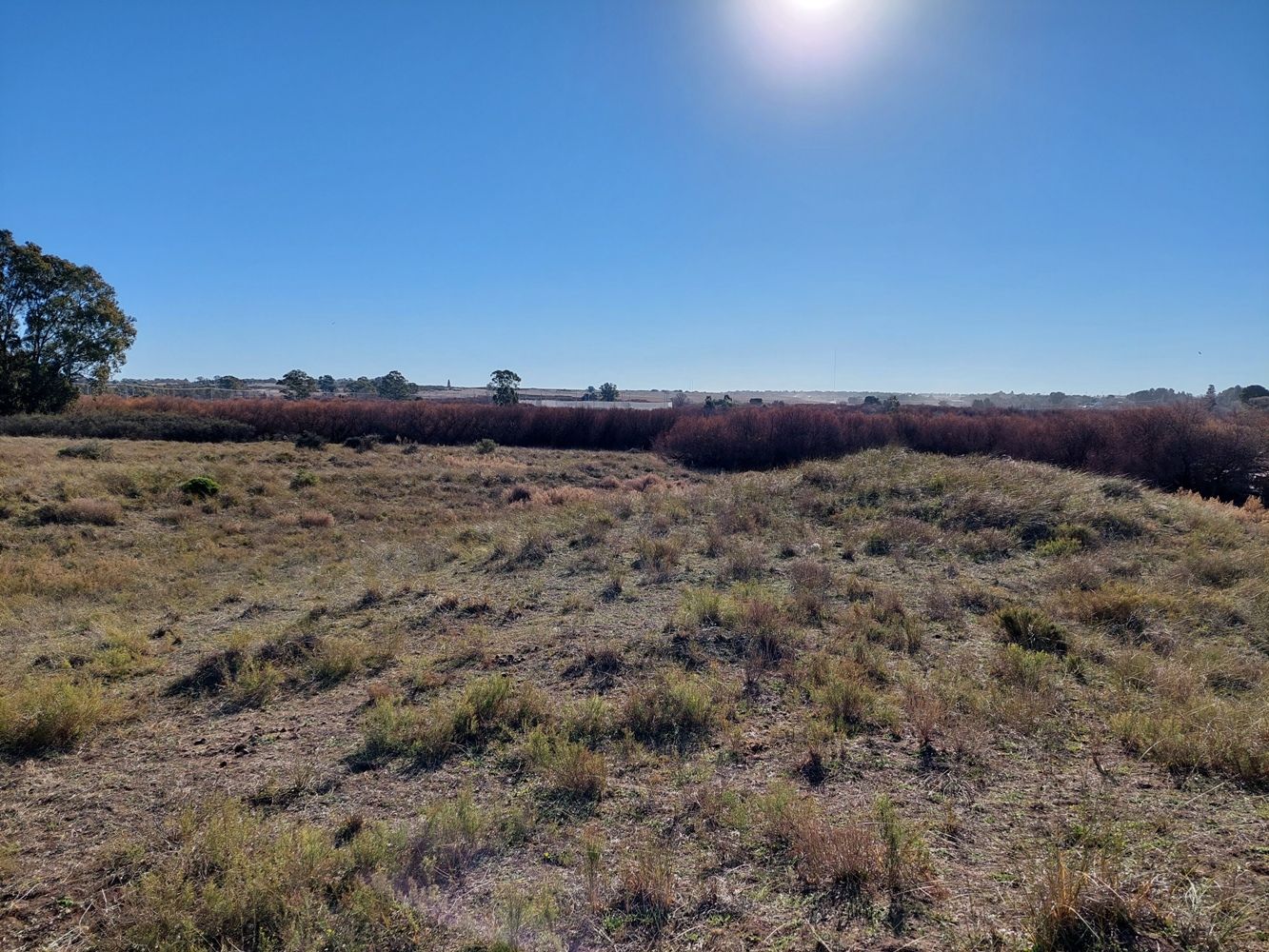 Terreno en Venta en Rodriguez Y Brigadier Estanislao Lopez ,  Bahía Blanca - Bahía Blanca Propiedades | SITIO OFICIAL l