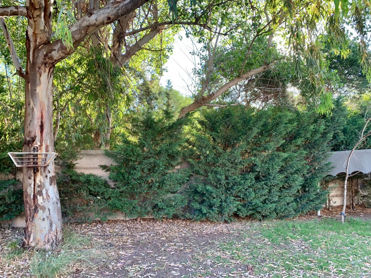 Terreno en Venta en Quiroga Entre Malvinas Y La Rioja, Dufaur, Monte Hermoso - Bahía Blanca Propiedades | SITIO OFICIAL l