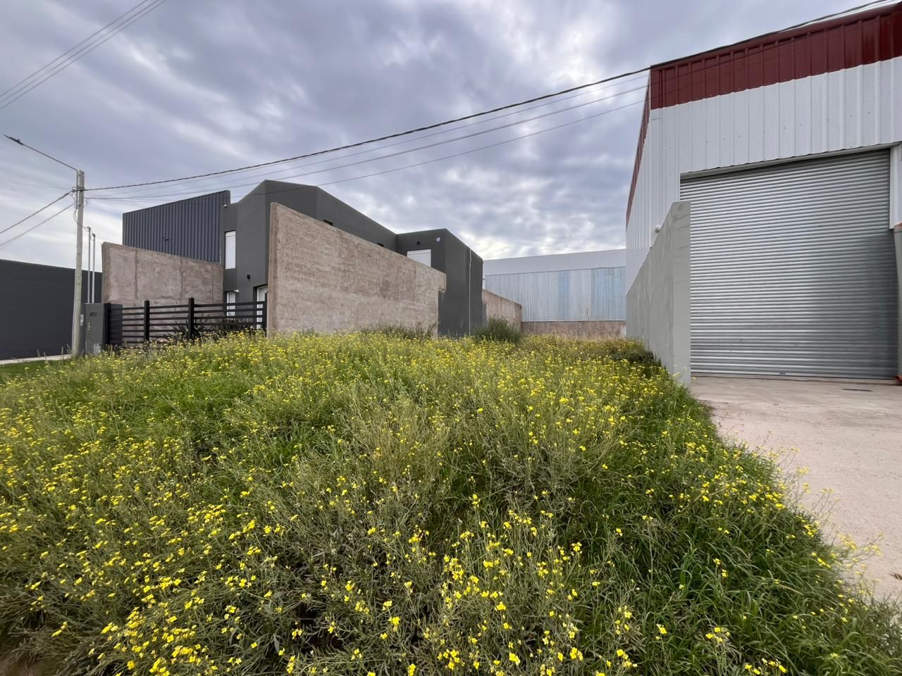 Terreno en Venta en Leonidas Lucero Y Indio, Los Olivos, Bahía Blanca - Bahía Blanca Propiedades | SITIO OFICIAL l