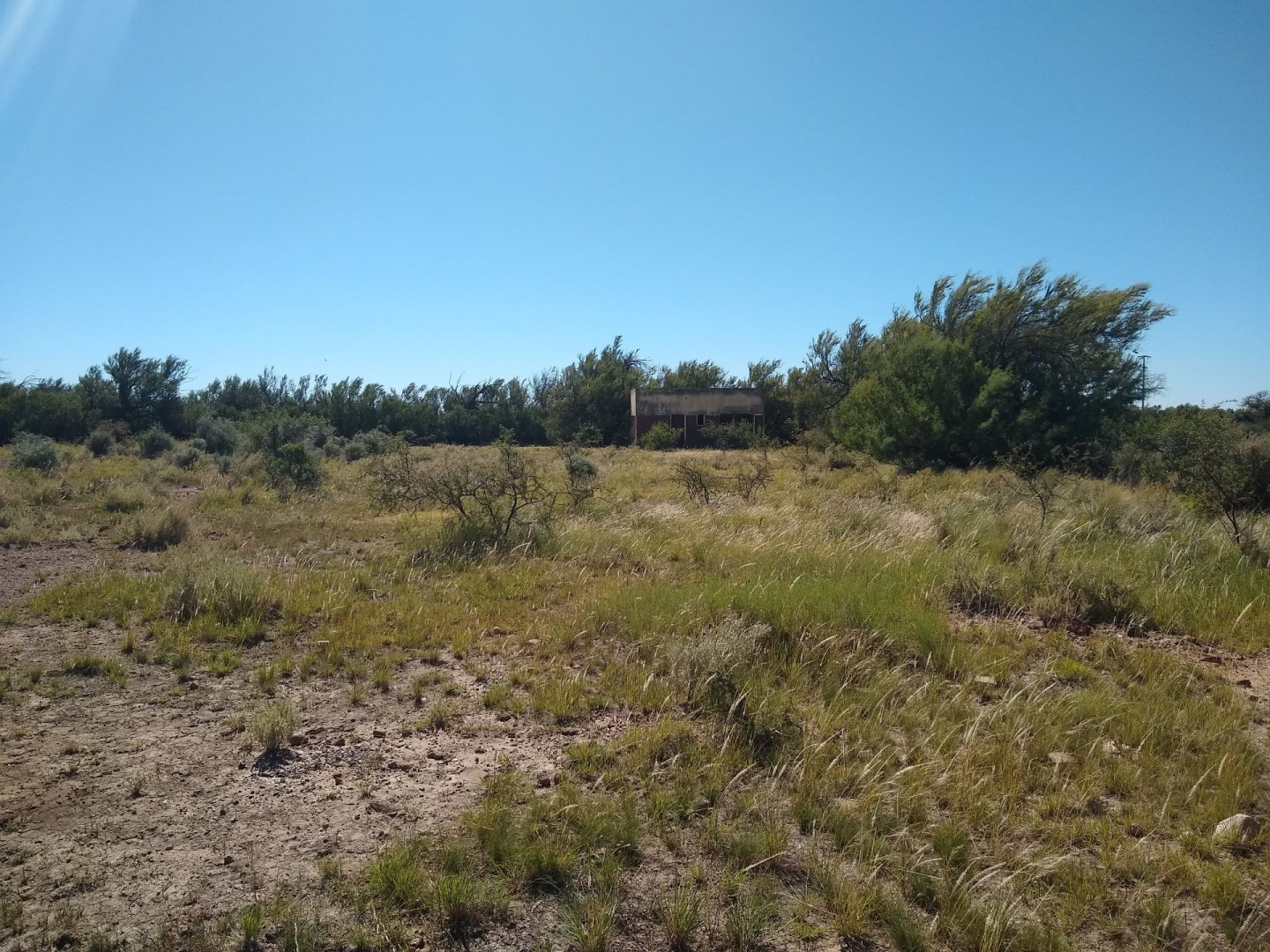 Campo  en Venta en Ruta 3 Km 701,  Bahía Blanca - Bahía Blanca Propiedades | SITIO OFICIAL l