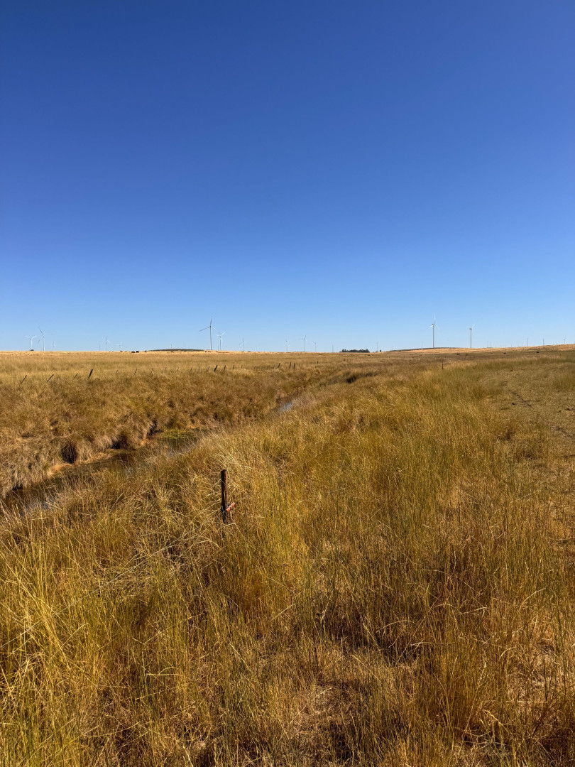 Campo  en Venta en RUTA 33 ,  Tornquist - Bahía Blanca Propiedades | SITIO OFICIAL l