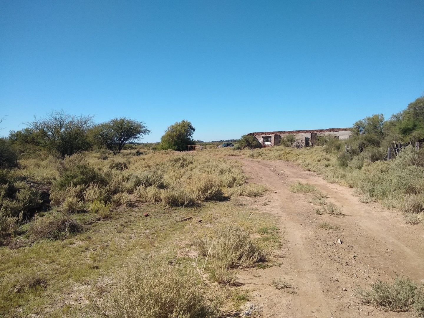 Campo  en Venta en Ruta 3 Km 701,  Bahía Blanca - Bahía Blanca Propiedades | SITIO OFICIAL l