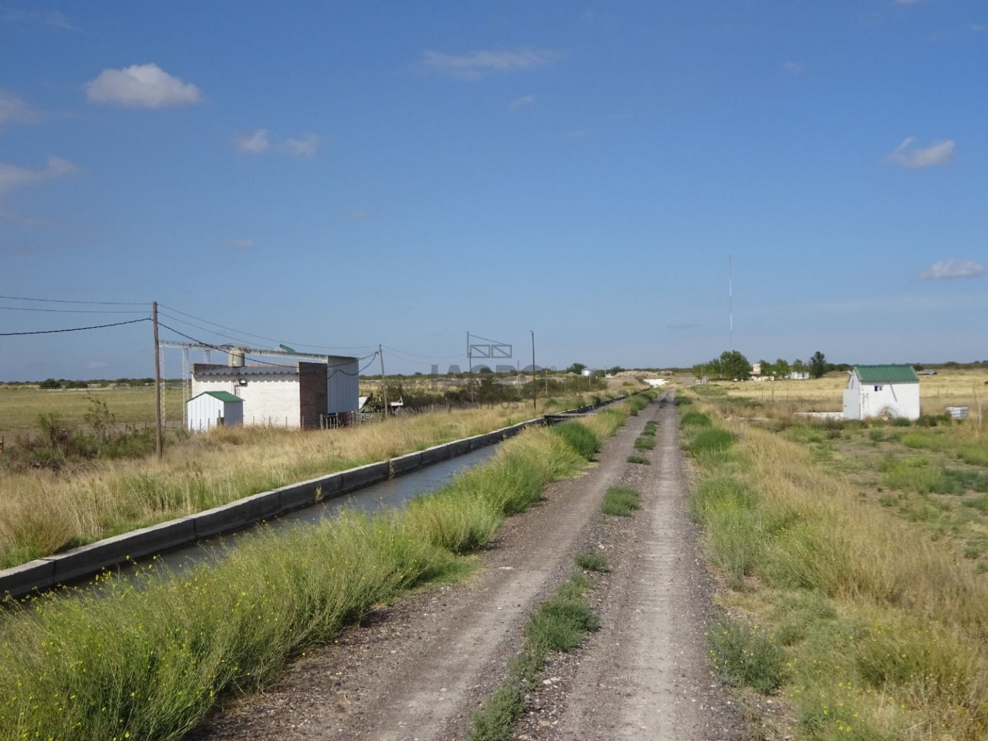 Campo  en Venta en Ruta Nacional 22,  Rio Colorado - Bahía Blanca Propiedades | SITIO OFICIAL l