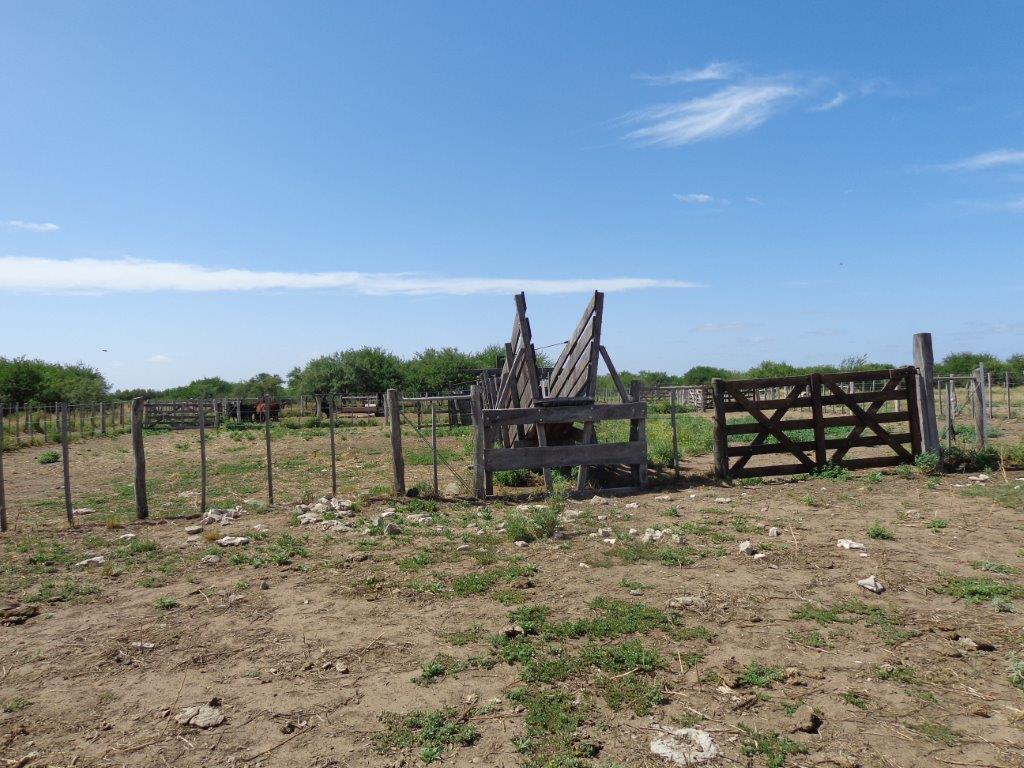Campo  en Venta en Algarrobo Buenos Aires,  Algarrobo - Bahía Blanca Propiedades | SITIO OFICIAL l