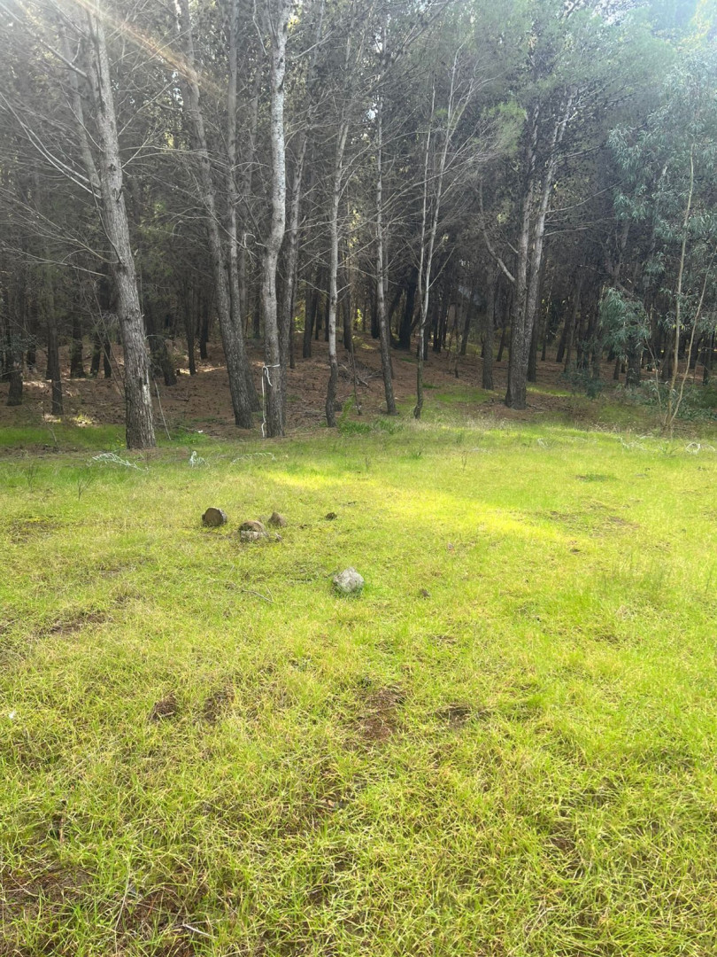 Terreno en Venta en Walich 50,  Pehuen Co - Bahía Blanca Propiedades | SITIO OFICIAL l