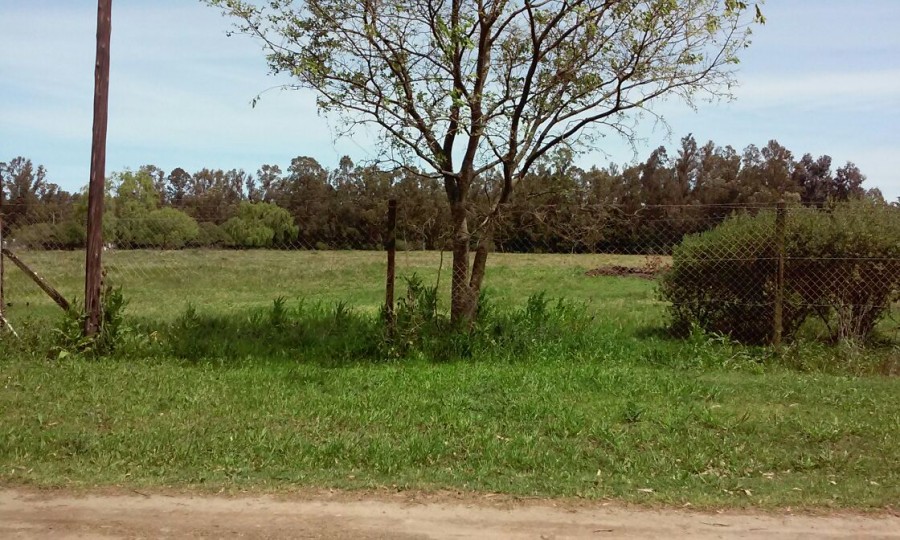 Campo  en Venta en Ciudad De Miramar,  Miramar - Bahía Blanca Propiedades | SITIO OFICIAL l