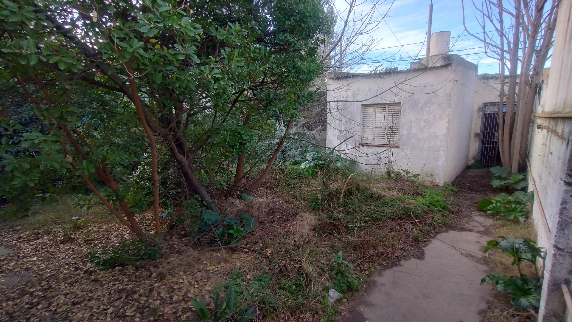 Casa en Venta en Coronel Falcon 583,  Bahía Blanca - Bahía Blanca Propiedades | SITIO OFICIAL l