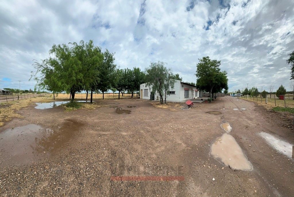 Terreno en Venta en Acceso A La Adela,  La Pampa - Bahía Blanca Propiedades | SITIO OFICIAL l