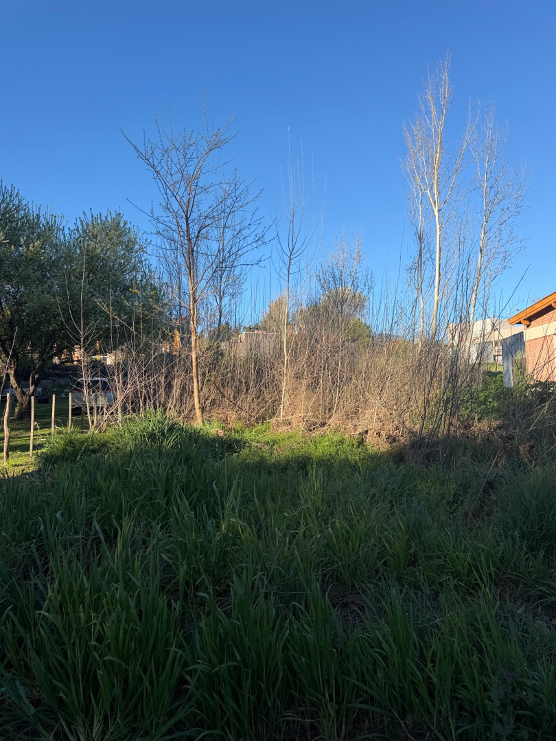Terreno en Venta en Malvinas Y Costanera , Barrio Parque Delfino, Sierra de  la Ventana - Bahía Blanca Propiedades | SITIO OFICIAL l