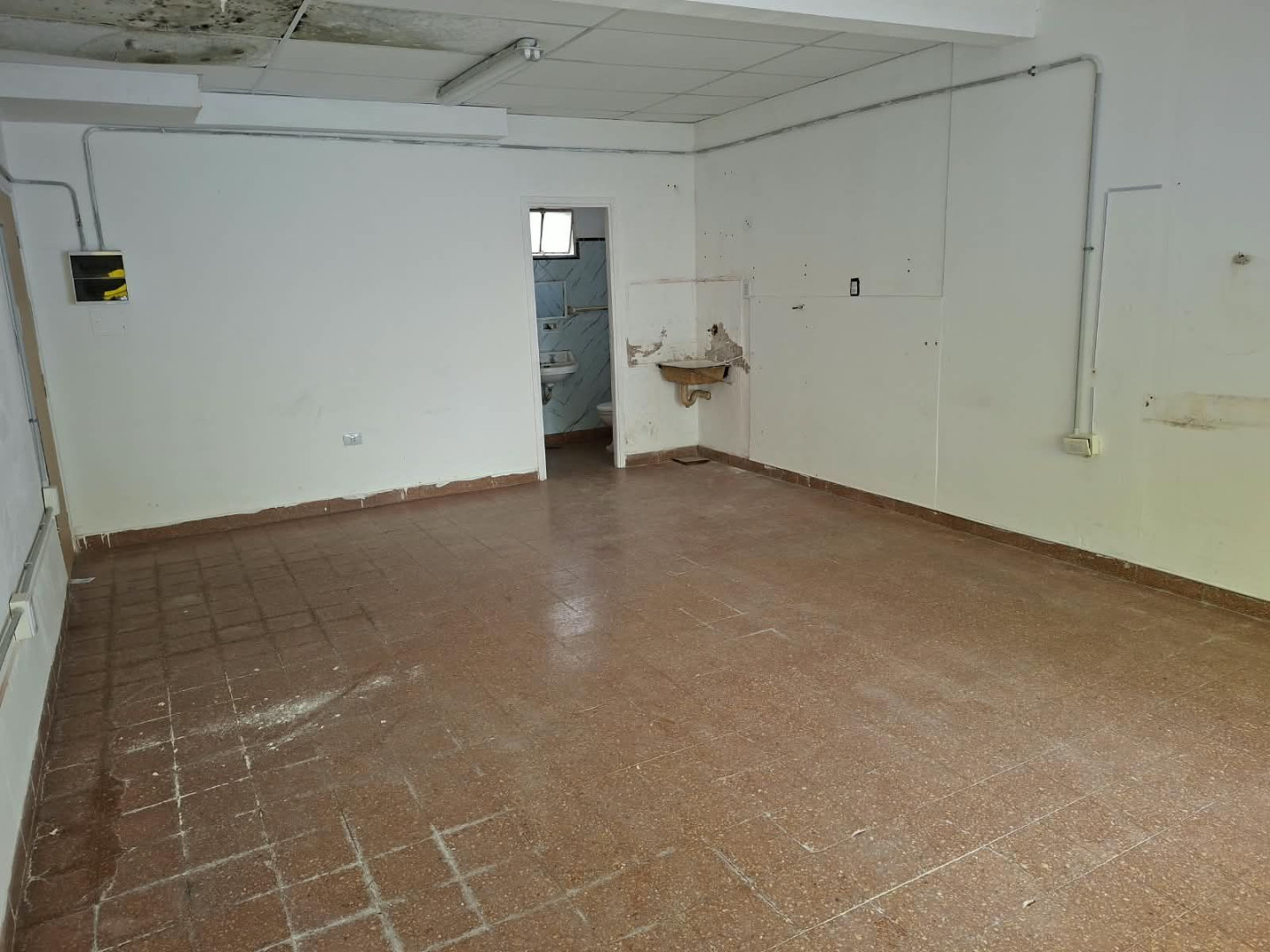 Local en Alquiler en Soler 264, Centro, Bahía Blanca - Bahía Blanca Propiedades | SITIO OFICIAL l