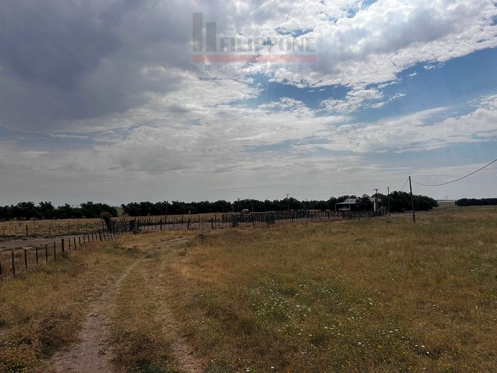 Campo  en Venta en Ruta Nacional 35 Km15,  Bahía Blanca - Bahía Blanca Propiedades | SITIO OFICIAL l