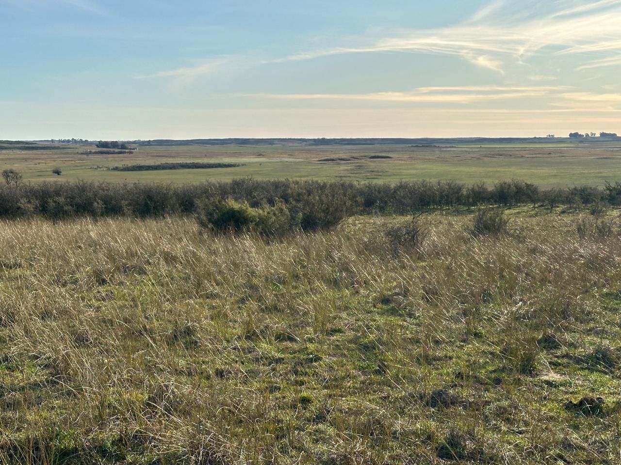 Campo  en Venta en A 4 Kilómetros De La Ruta 3.,  Teniente Origone - Bahía Blanca Propiedades | SITIO OFICIAL l