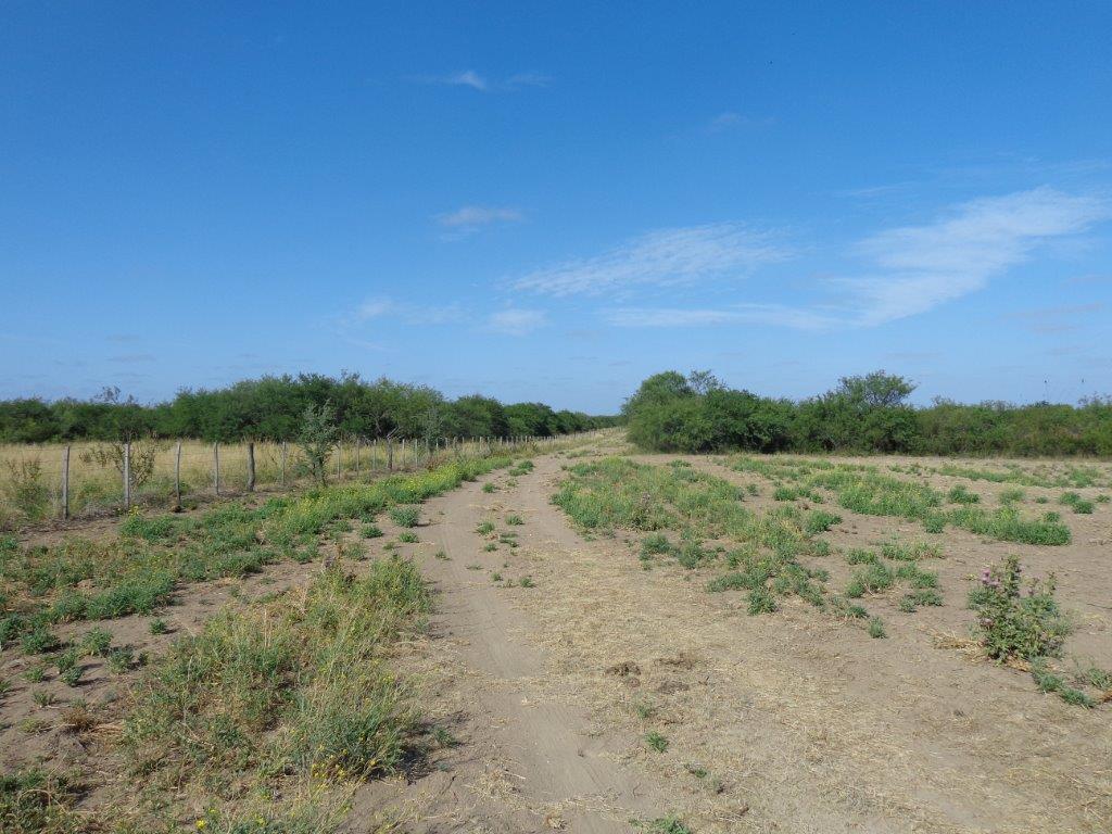 Campo  en Venta en Campo En Algarrobo,  Bahía Blanca - Bahía Blanca Propiedades | SITIO OFICIAL l
