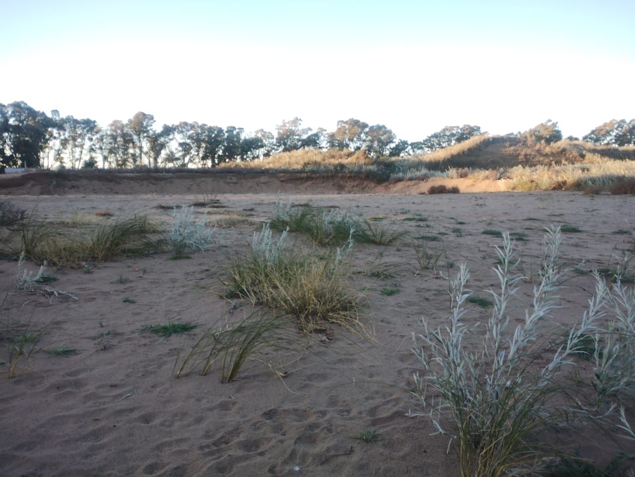 Terreno en Venta en Calle 14 Y 5,  Pehuen Co - Bahía Blanca Propiedades | SITIO OFICIAL l
