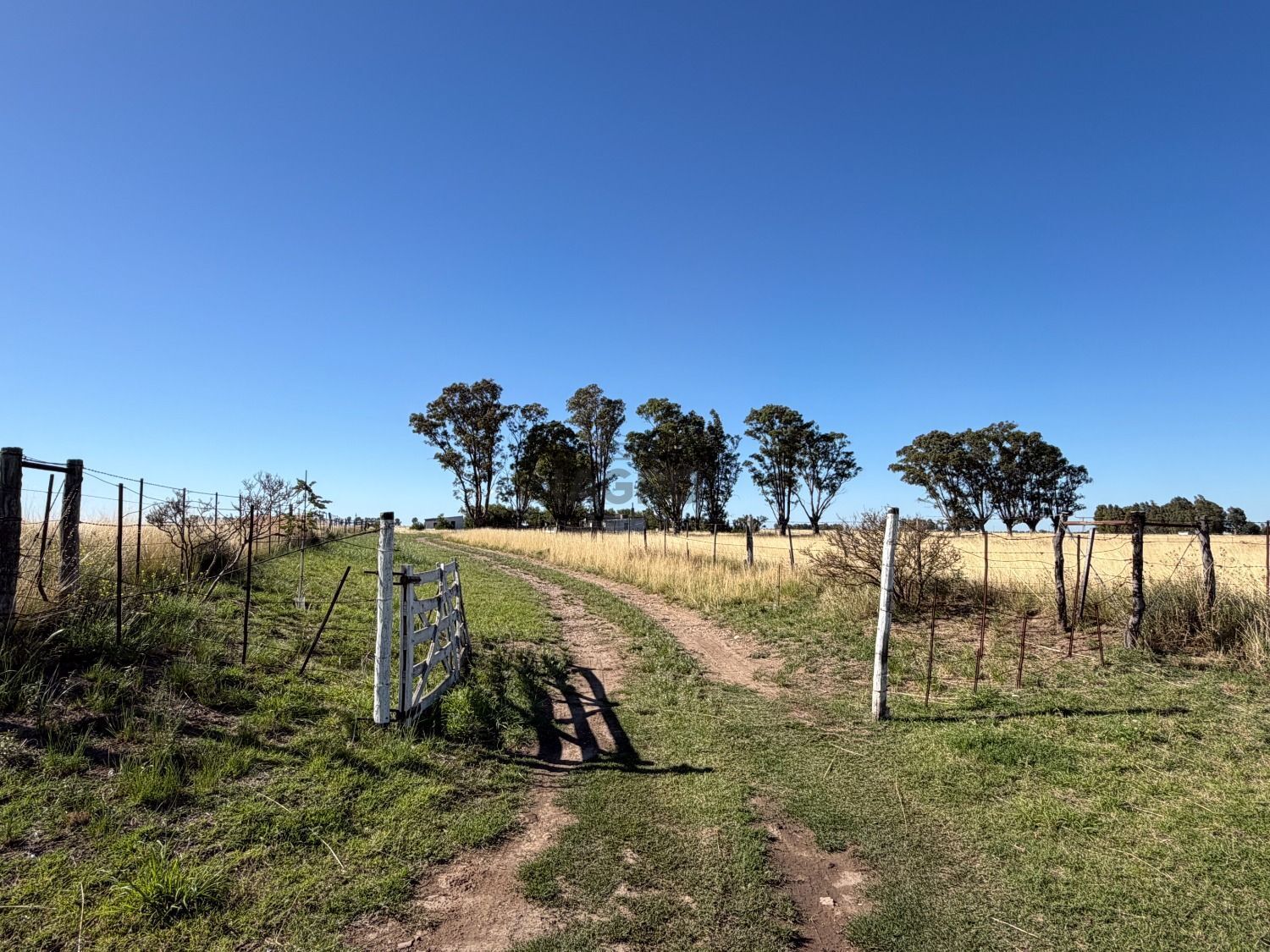 Campo  en Venta en Bajo Hondo,  Bahía Blanca - Bahía Blanca Propiedades | SITIO OFICIAL l