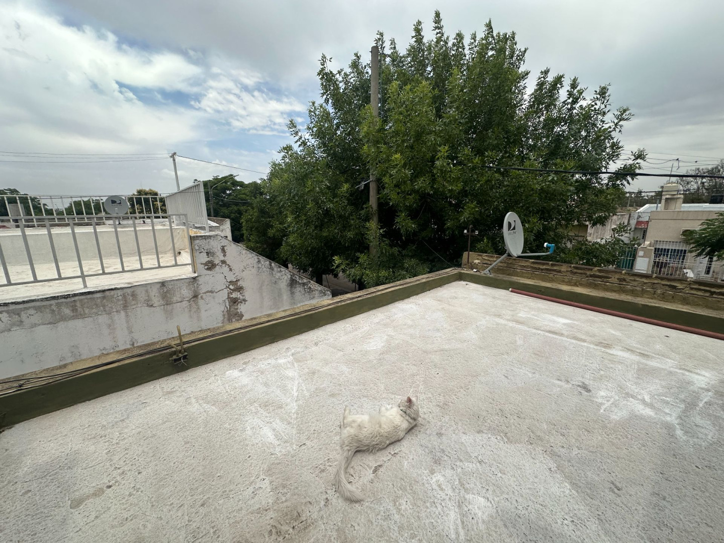 Casa en Venta en Miñones 834, San Martin, Bahía Blanca - Bahía Blanca Propiedades | SITIO OFICIAL l