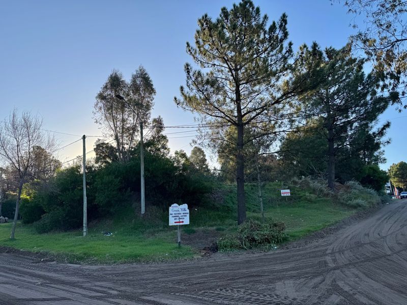 Terreno en Venta en Av. Zucchiatti Y Córdoba, Dufaur, Monte Hermoso - Bahía Blanca Propiedades | SITIO OFICIAL l