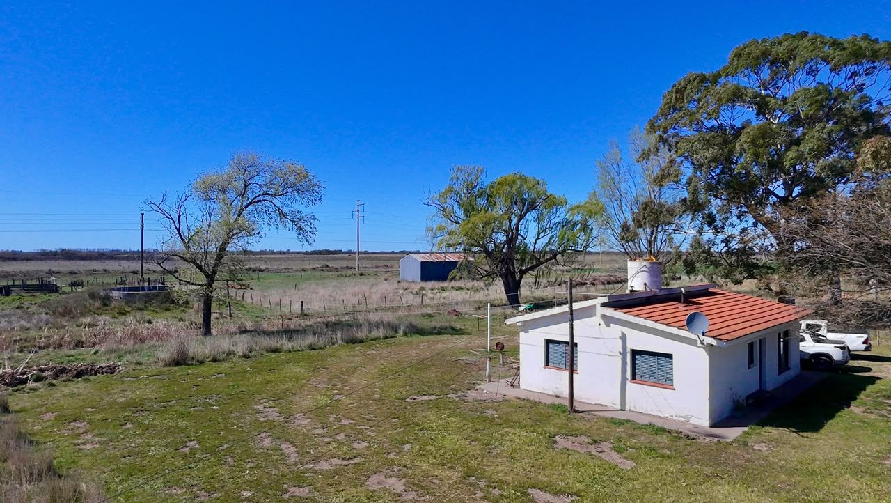 Campo  en Venta   Juan A. Pradere - Bahía Blanca Propiedades | SITIO OFICIAL l