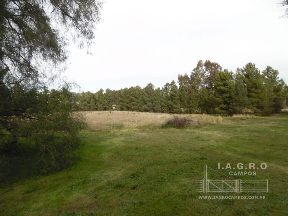Terreno en Venta en Latanzio 2100,  Bahía Blanca - Bahía Blanca Propiedades | SITIO OFICIAL l