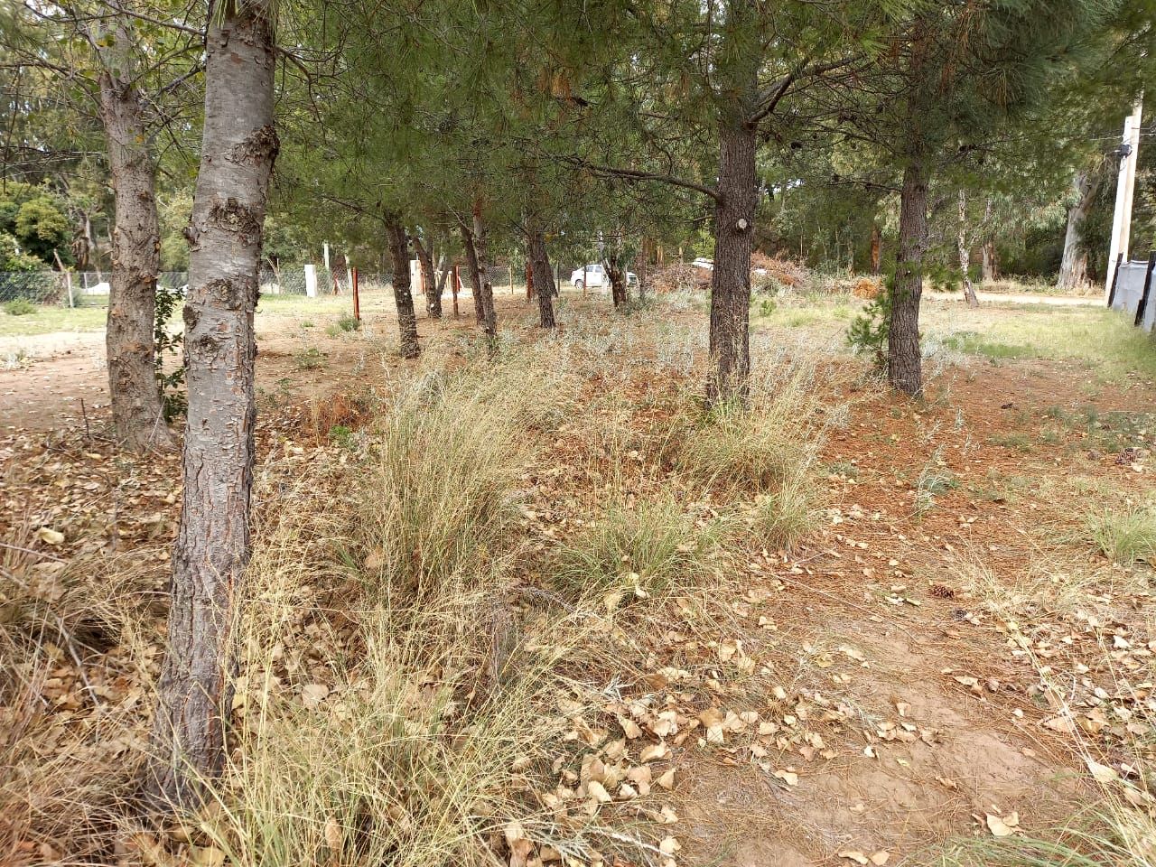 Terreno en Venta en Calle 8 Entre 9 Y 11,  Pehuen Co - Bahía Blanca Propiedades | SITIO OFICIAL l