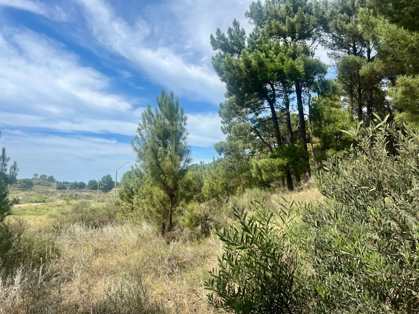 Terreno en Venta en Maipu Entre El Tero Y La Torcaza, Pinar del Golf, Monte Hermoso - Bahía Blanca Propiedades | SITIO OFICIAL l