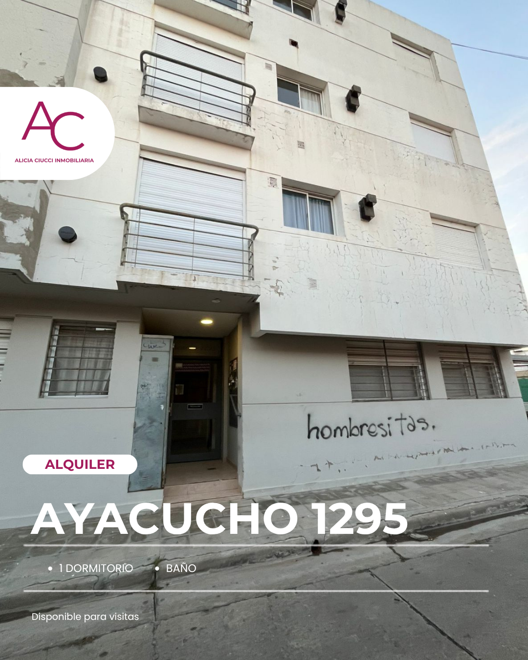 Departamento en Alquiler en AYACUCHO 1295, Universitario, Bahía Blanca - Bahía Blanca Propiedades | SITIO OFICIAL l