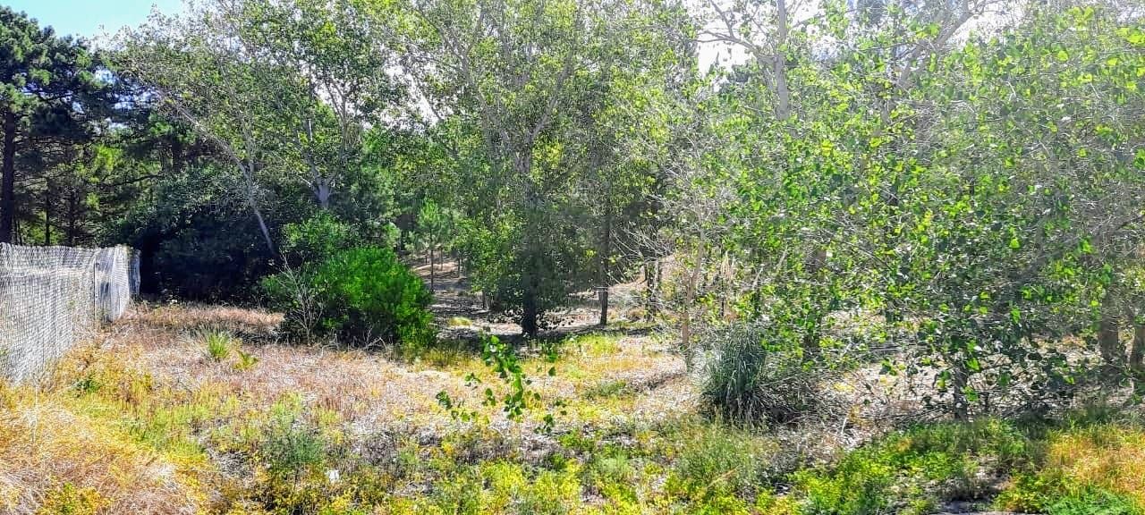 Terreno en Venta en Pinar Del Golf,  Monte Hermoso - Bahía Blanca Propiedades | SITIO OFICIAL l