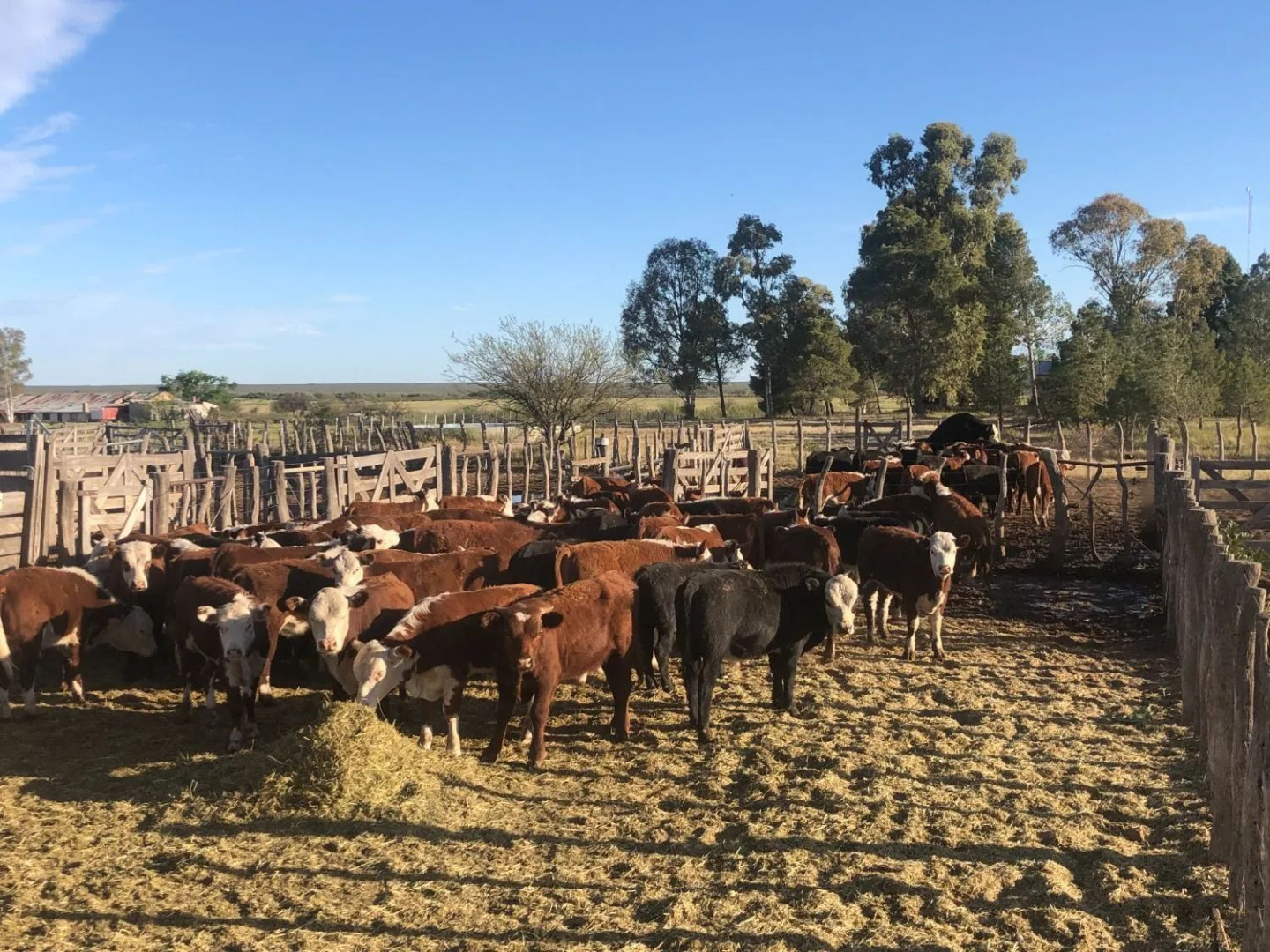 Campo  en Venta en Ruta Provincial 34,  Lihuel Calel - La Pampa - Bahía Blanca Propiedades | SITIO OFICIAL l