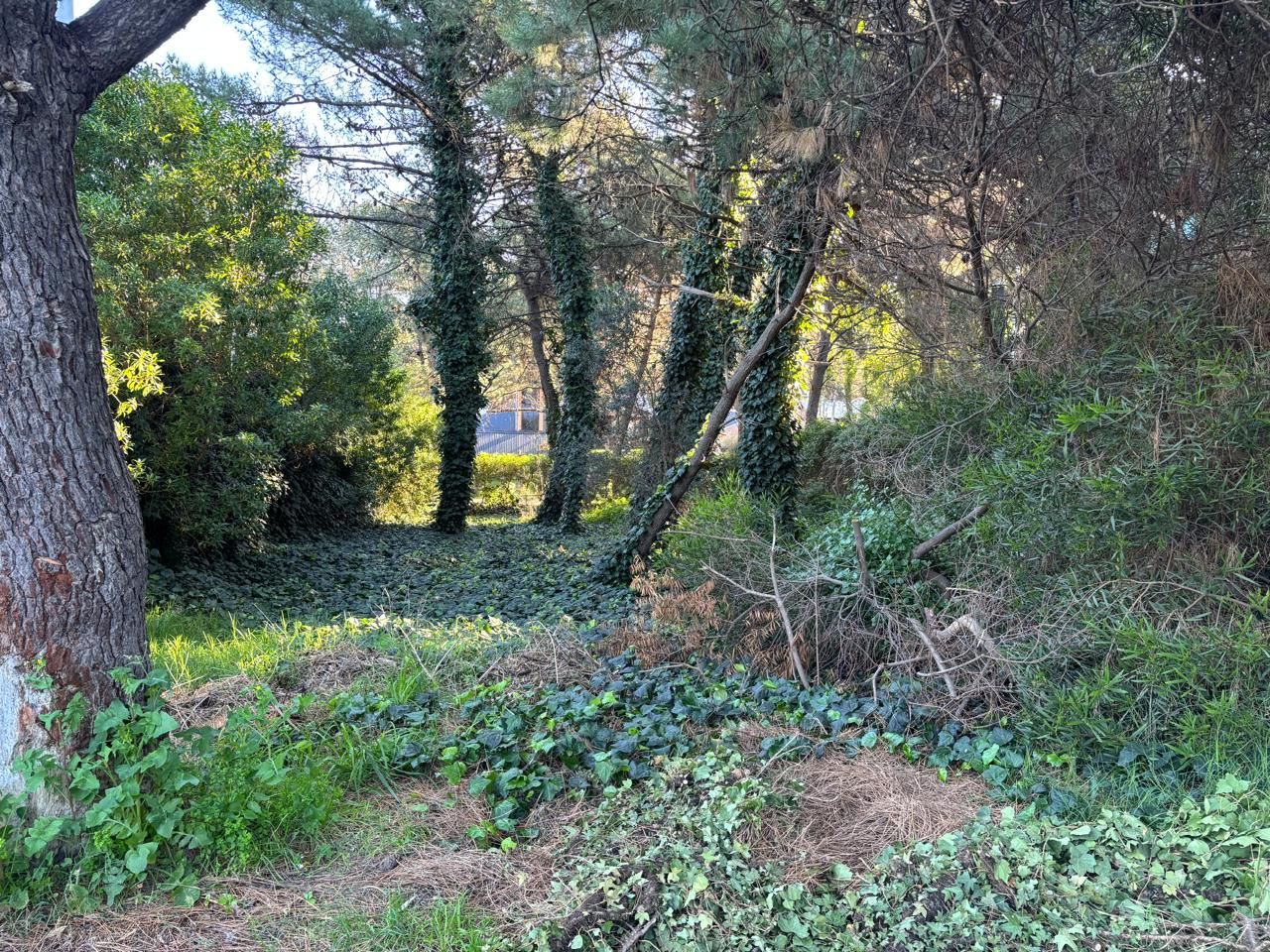 Terreno en Venta en Del Tiburon 355, Las Dunas, Monte Hermoso - Bahía Blanca Propiedades | SITIO OFICIAL l