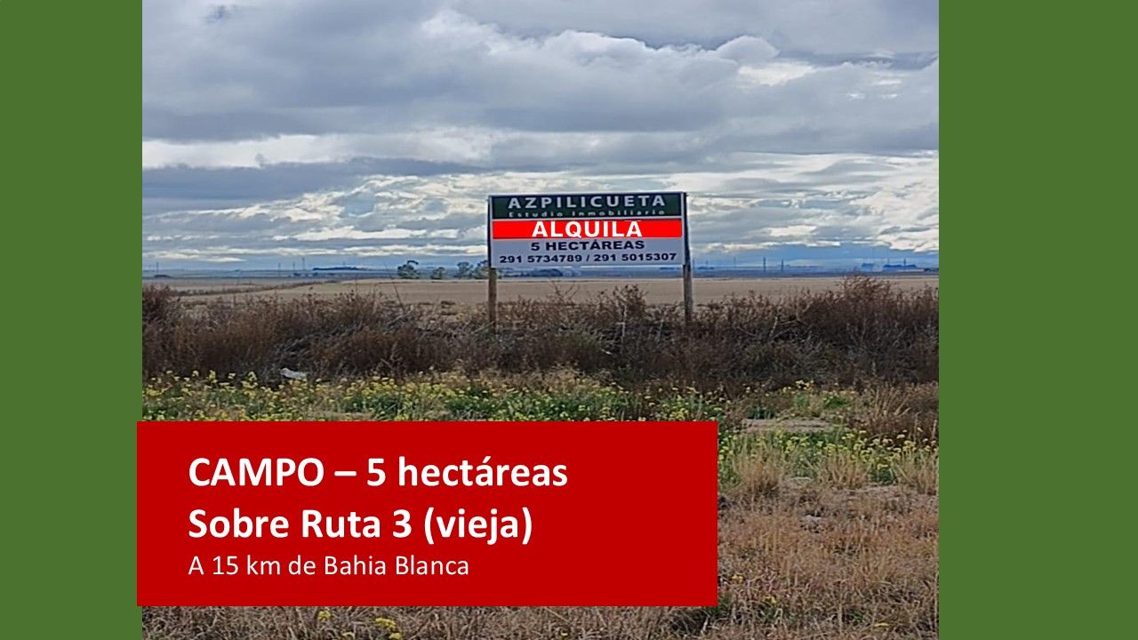 Campo  en Alquiler en Ruta 3 Vieja, Km 670,  Bahía Blanca - Bahía Blanca Propiedades | SITIO OFICIAL l