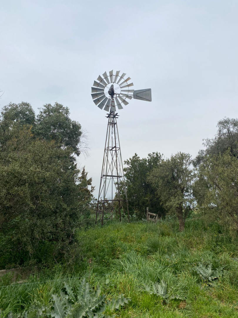 Campo  en Venta   Villarino - Bahía Blanca Propiedades | SITIO OFICIAL l