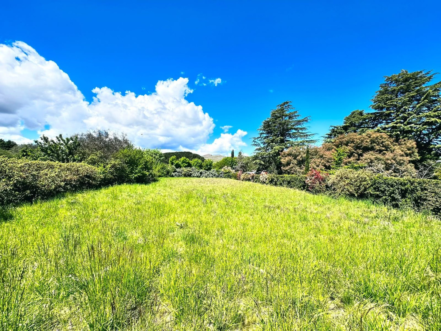 Terreno en Venta en LOS ABEDULES, Parque Golf, Sierra de  la Ventana - Bahía Blanca Propiedades | SITIO OFICIAL l