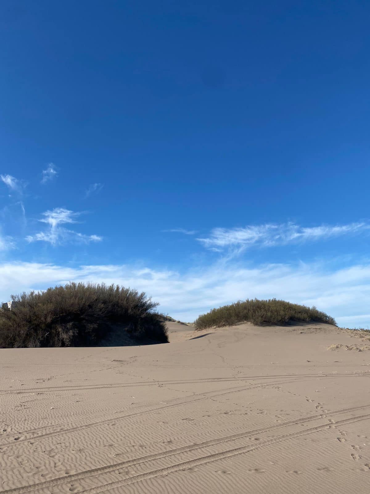 Terreno en Venta  El Sauce, Monte Hermoso - Bahía Blanca Propiedades | SITIO OFICIAL l