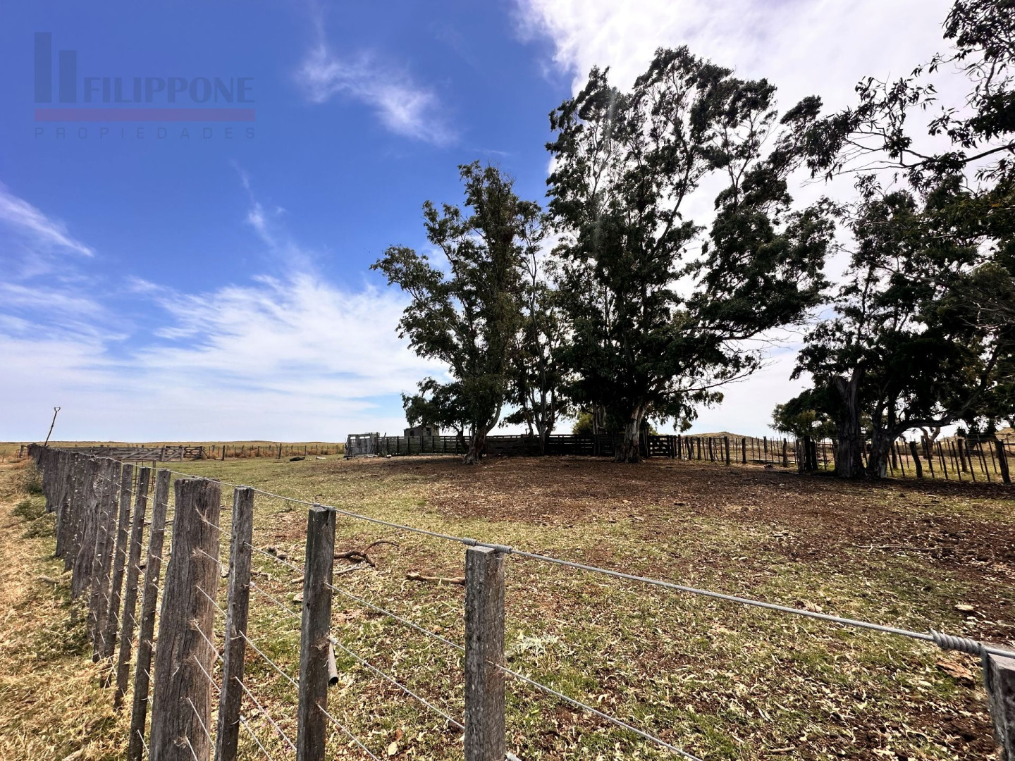 Campo  en Venta   Coronel Dorrego - Bahía Blanca Propiedades | SITIO OFICIAL l