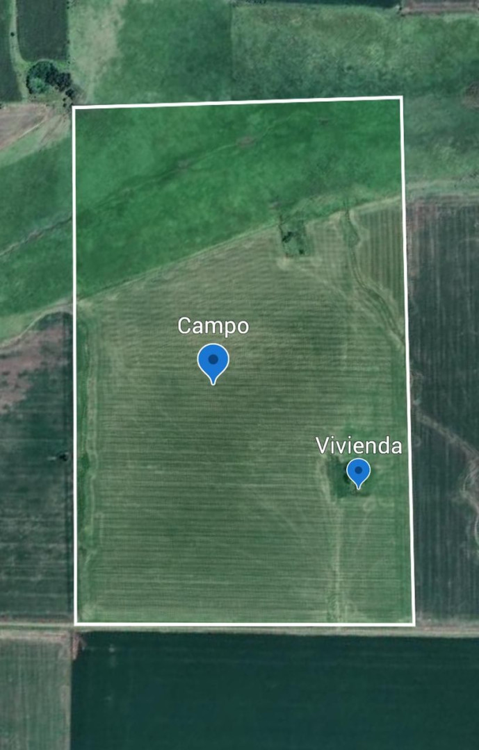 Campo  en Venta - Bahía Blanca Propiedades | SITIO OFICIAL l