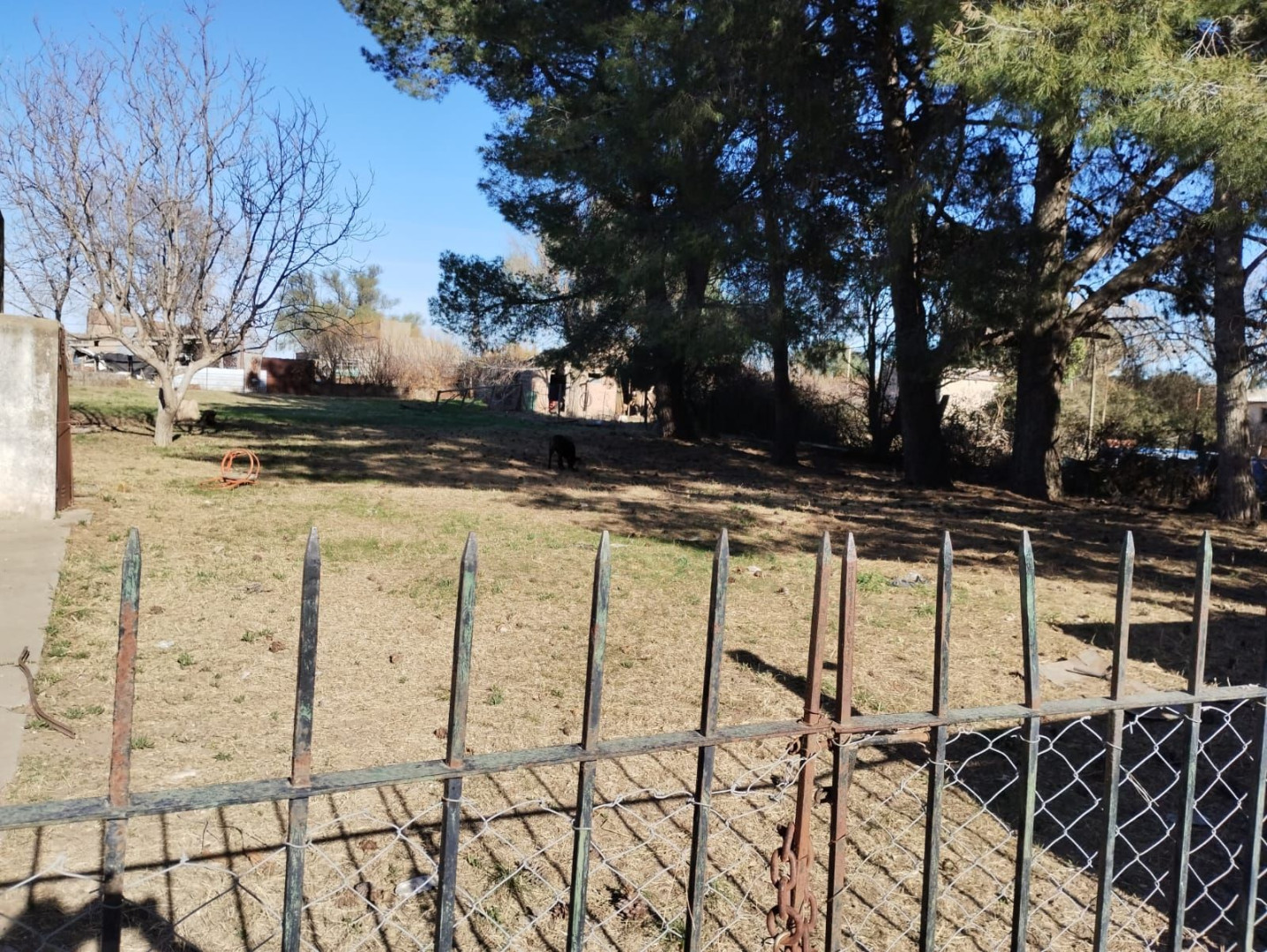 Terreno en Venta en Alberdi 260,  Cabildo - Bahía Blanca Propiedades | SITIO OFICIAL l