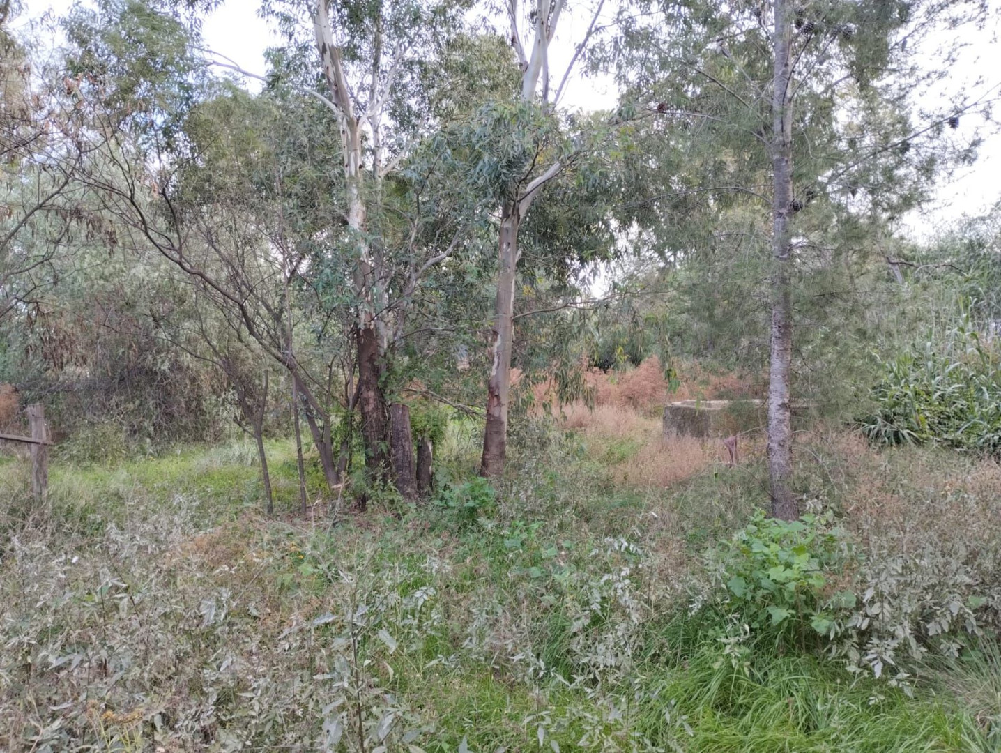 Terreno en Venta en Gualeguay Y Baigorria, San Miguel, Bahía Blanca - Bahía Blanca Propiedades | SITIO OFICIAL l