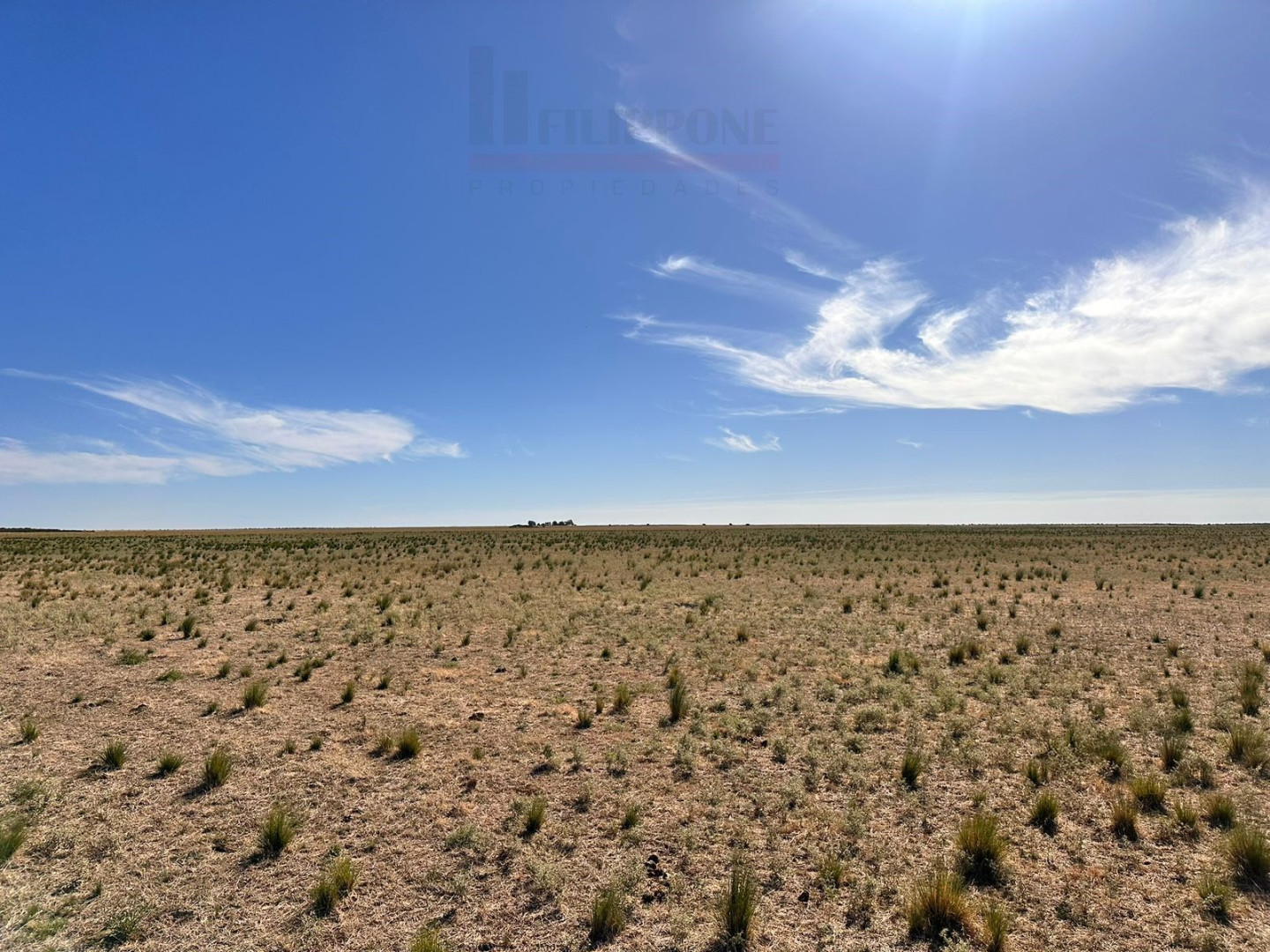 Campo  en Venta en Ruta 35,  Bahía Blanca - Bahía Blanca Propiedades | SITIO OFICIAL l